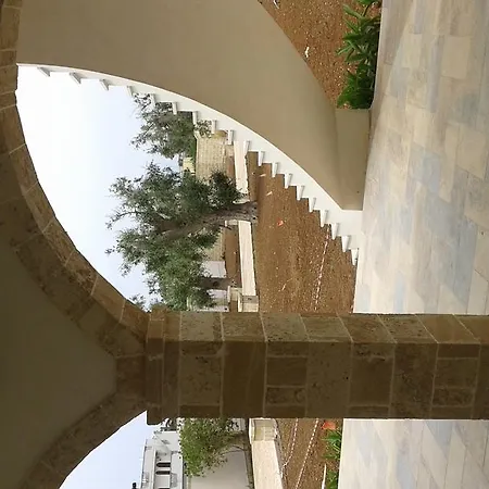 Apartament Viola *